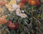 古斯塔夫 卡里伯特 : Clump of Chrysanthemums Garden at Petit Gennevilliers